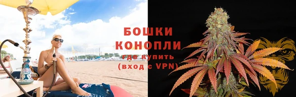 PSILOCYBIN Аркадак