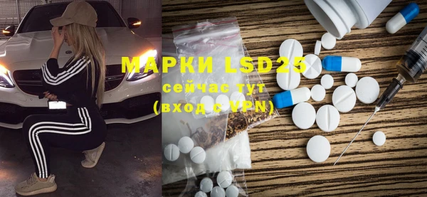 PSILOCYBIN Аркадак