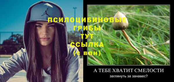 PSILOCYBIN Аркадак