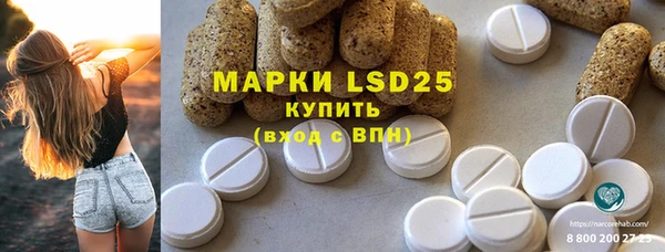 PSILOCYBIN Аркадак
