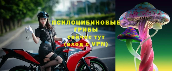 бошки Армянск