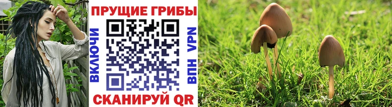 как найти закладки  blacksprut зеркало  Псилоцибиновые грибы мухоморы  Саров 